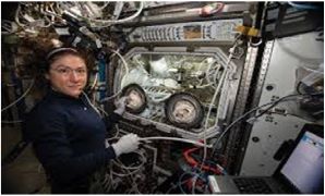 In May 2026, astronauts of NASA conducted biomedical experiments aboard the International Space Station